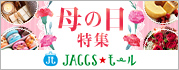 yJACCS[zN̓̕511