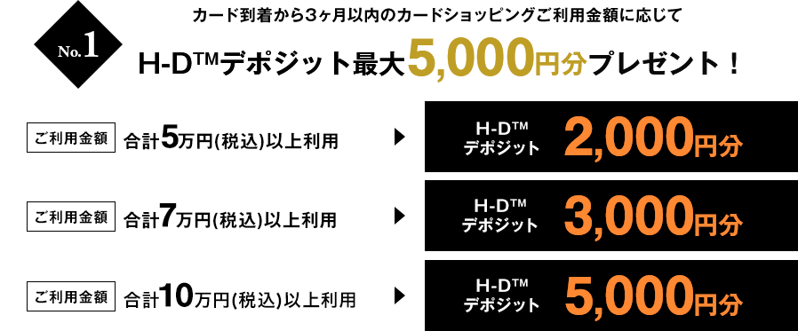 No.1 カード到着から3ヶ月以内のカードショッピングご利用金額に応じてH-D&trade;デポジット最大5,000円分プレゼント！ [ご利用金額合計5万円(税込)以上利用]H-D&trade;デポジット2,000円分 [ご利用金額合計7万円(税込)以上利用]H-D&trade;デポジット3,000円分 [ご利用金額合計10万円(税込)以上利用]H-D&trade;デポジット5,000円分