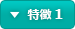 特徴 1