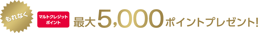 もれなくマルトクレジットポイント最大5,000ポイントプレゼント！