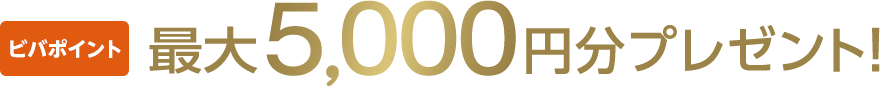 ビバポイント最大5,000円分プレゼント！